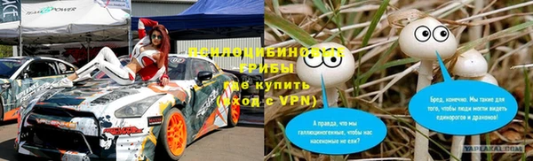 spice Арсеньев