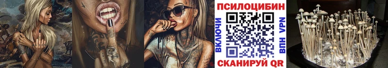 Псилоцибиновые грибы Psilocybe  где продают наркотики  Озёрск 